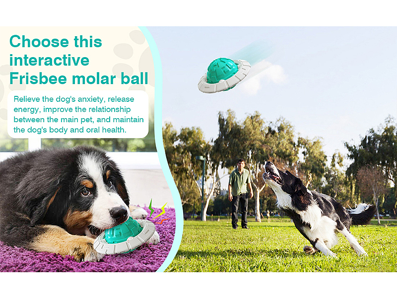 亚马逊狗狗飞碟球形牙刷主宠互动玩具球（图ZMjg1NzUzMTY4） - 电商 - 站酷设计师jsxzwsz12345原创素材 - 站酷ZCOOL