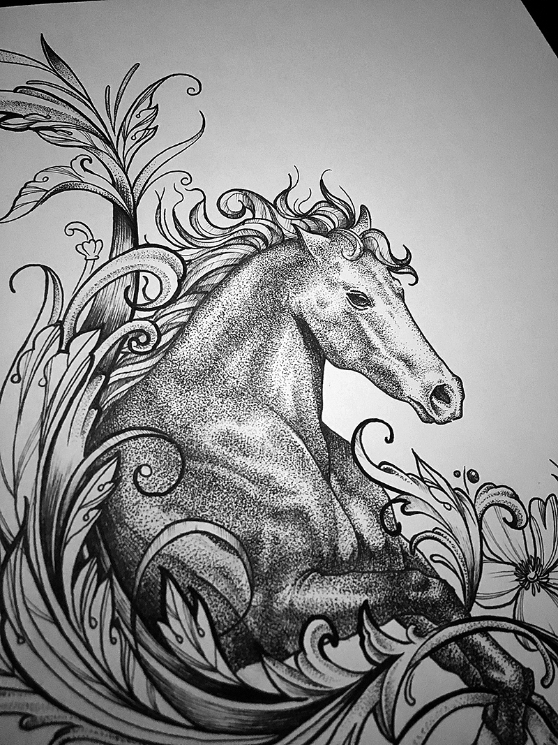 马|插画|插画习作|xiaoqing0824 - 原创作品 - 站酷 (zcool)