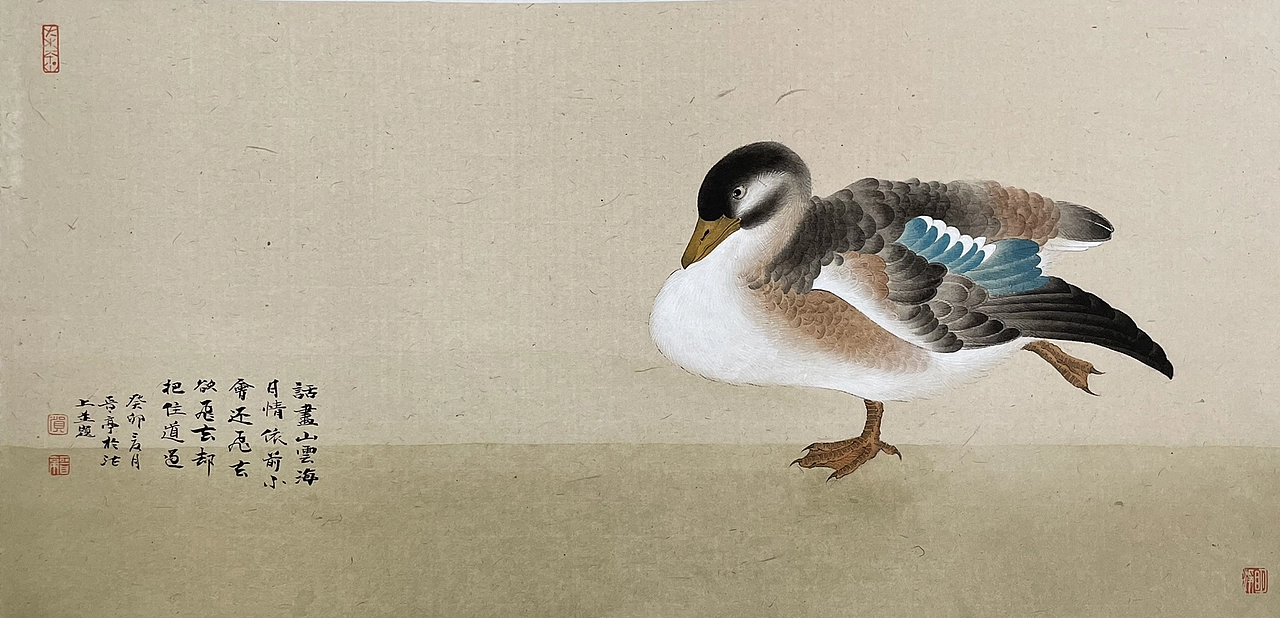 《秀羽写生系列》