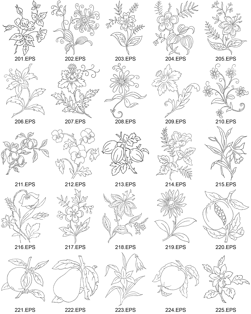 56套288款秘密花园白描花卉植物矢量网页素材笔刷AI