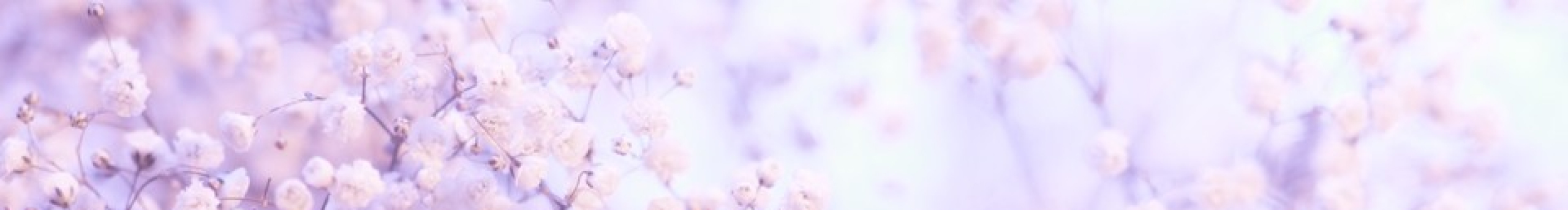 艷艷飛翔的個人主頁（封面預(yù)覽） - 主頁封面設(shè)置 - 站酷設(shè)計師艷艷飛翔原創(chuàng)素材 - 站酷ZCOOL