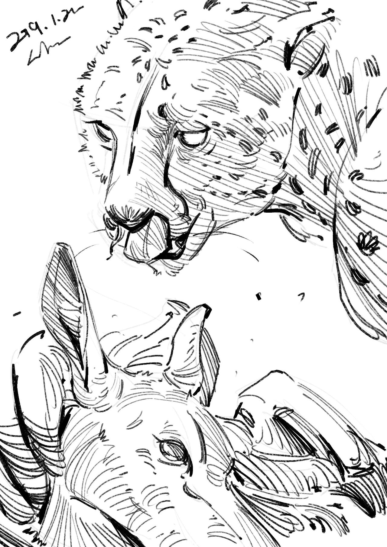 2019年1月速写选（图ZMTQzNzM4MjA4） - 绘画 - 站酷设计师半岛酒徒原创素材 - 站酷ZCOOL