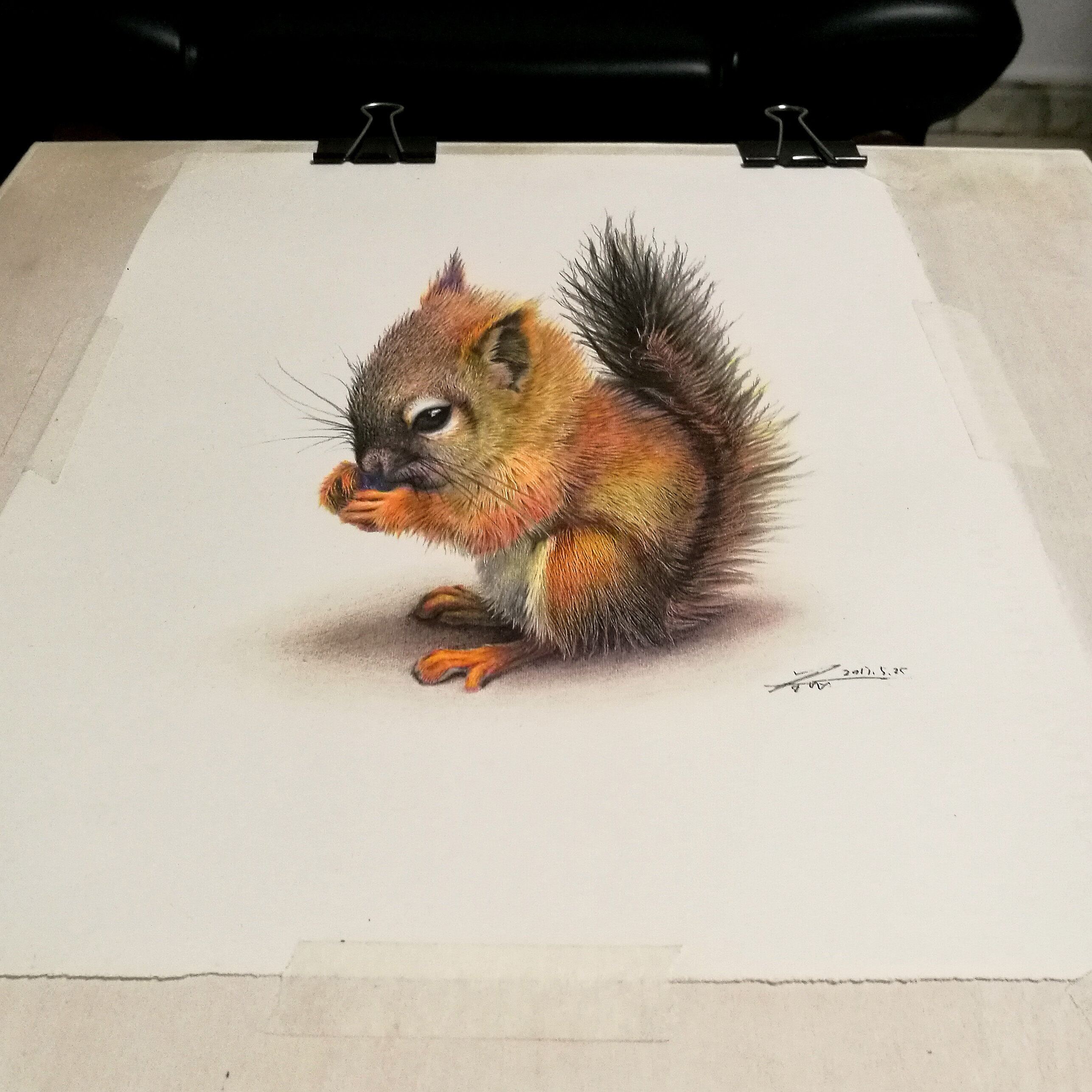 【彩铅立绘】一只小松鼠