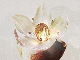 【海报练习】01