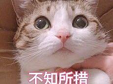 地产折页