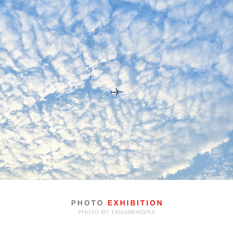 边走边拍|iPhone摄影集