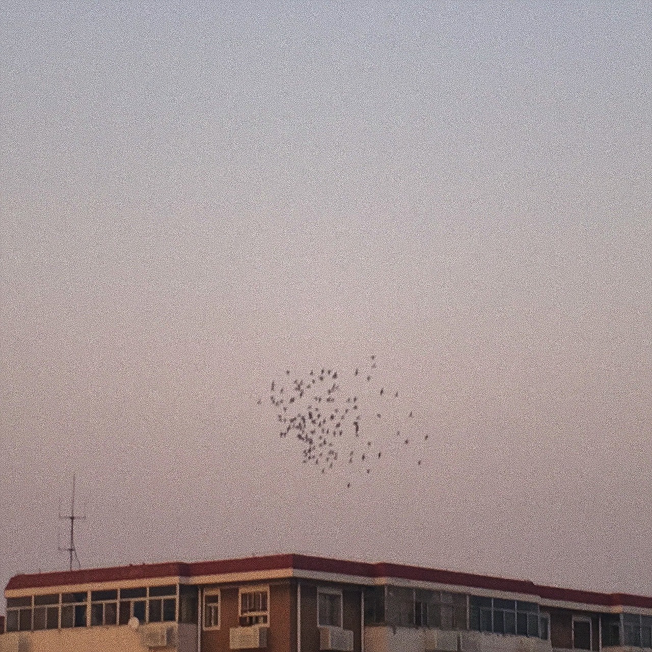 | 海 河 獨 流 |（图ZMTAxMDc0MzI0） - 人文/纪实摄影 - 站酷设计师红外线照北京原创素材 - 站酷ZCOOL