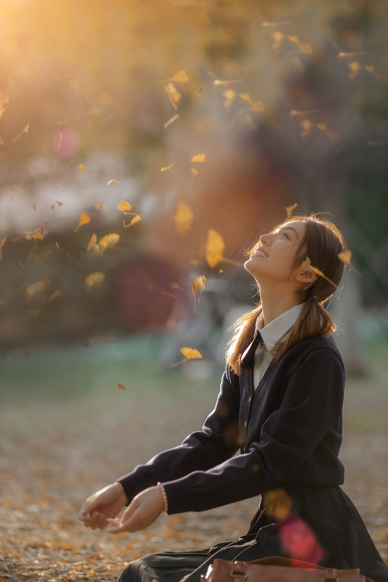 一起去看银杏吧