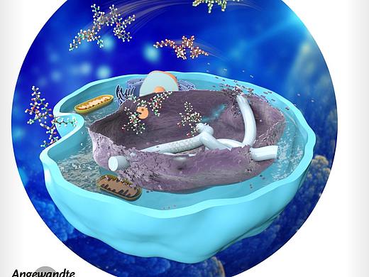 杂志封面设计科研画图TOC示意图学术文章配图SCI绘图
