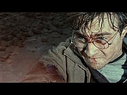 哈利波特混剪：敬所有的麻瓜