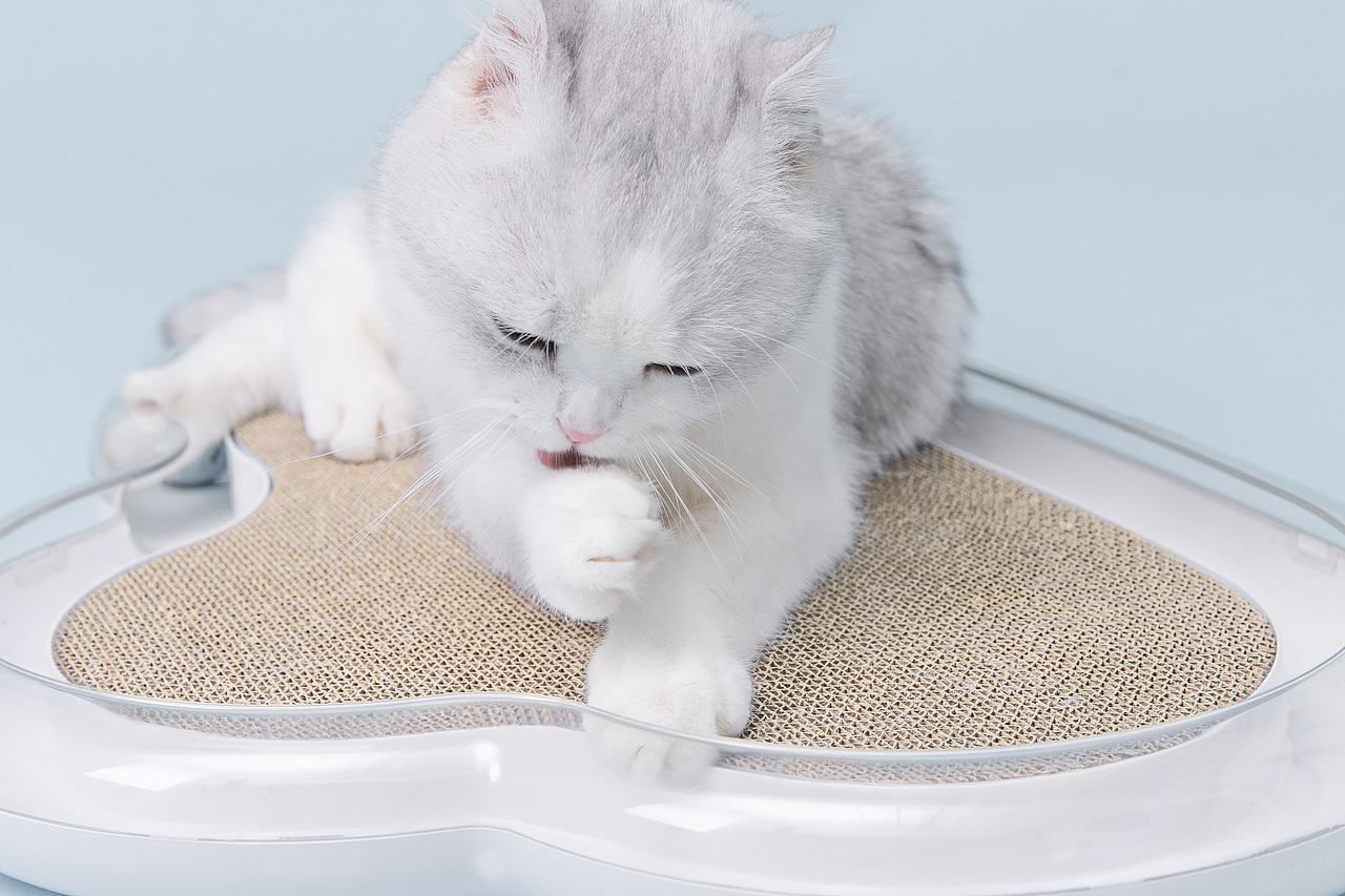 【摄影】在云上养一只猫for Furrytail猫抓板(图ZMTQzMTA3NDc2) - 产品摄影 - 站酷设计师阿娇己原创素材 - 站酷ZCOOL
