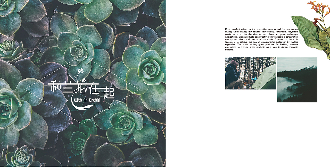 和兰花在一起（图ZOTcyMTIzNjQ=） - Logo - 站酷设计师wawa277原创素材 - 站酷ZCOOL