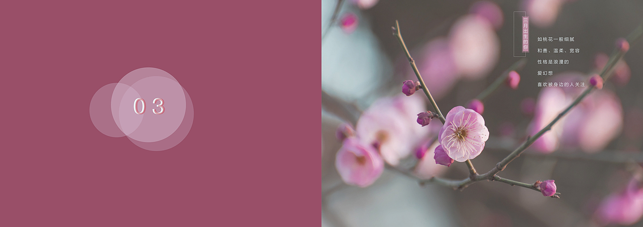 纪念（图ZMTI5MjE1MTQw） - 书籍/画册 - 站酷设计师三木C原创素材 - 站酷ZCOOL