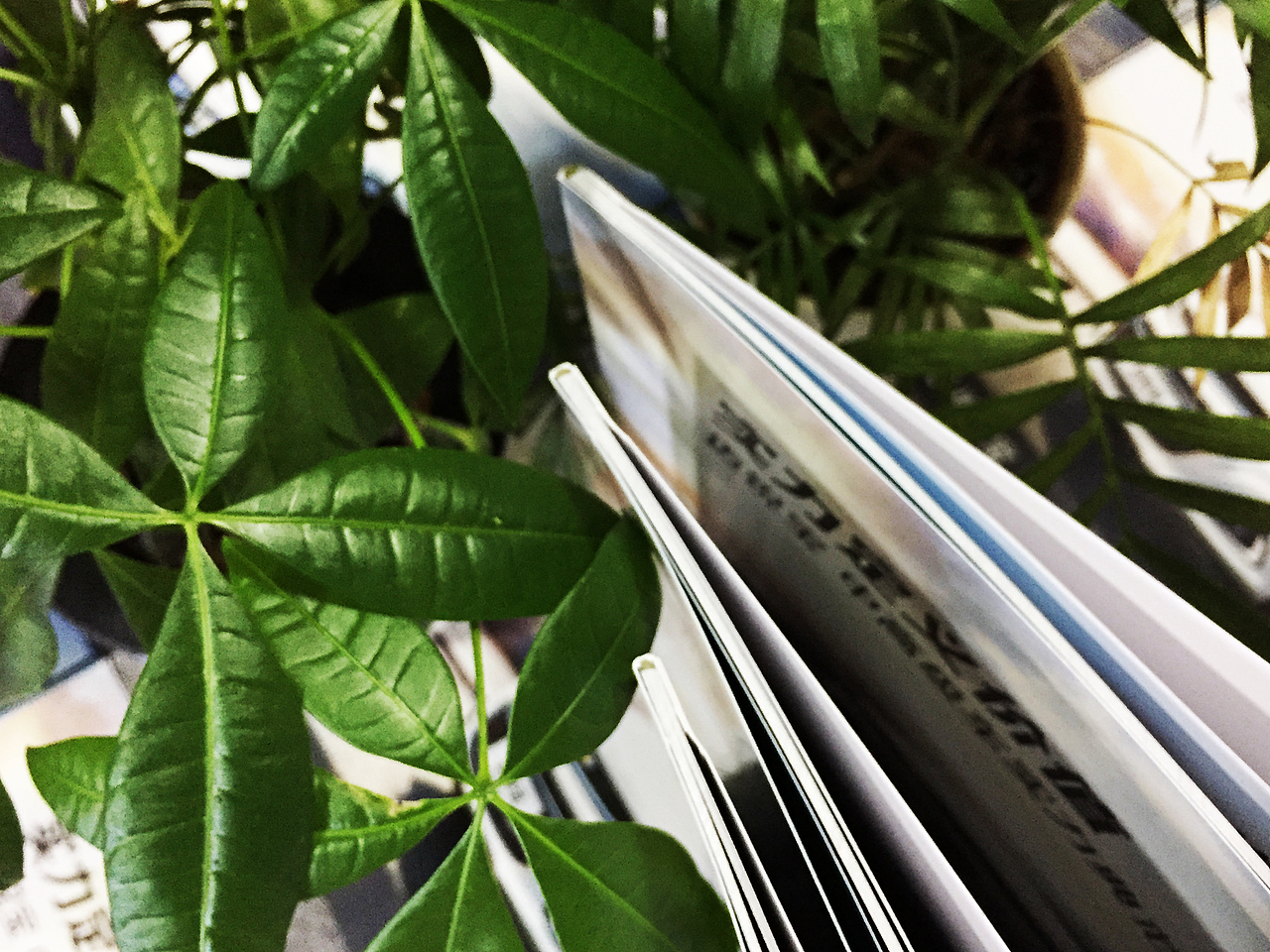 公司宣传册_企业画册设计_企业宣传画册制作_百铂文化（图ZOTQ0NDg1OTY=） - 书籍/画册 - 站酷设计师百铂文化品牌设计原创素材 - 站酷ZCOOL