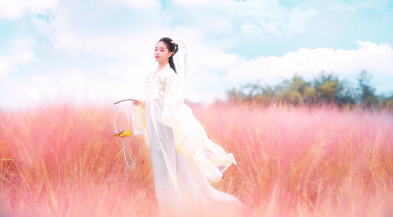 古风·粉草乱人心