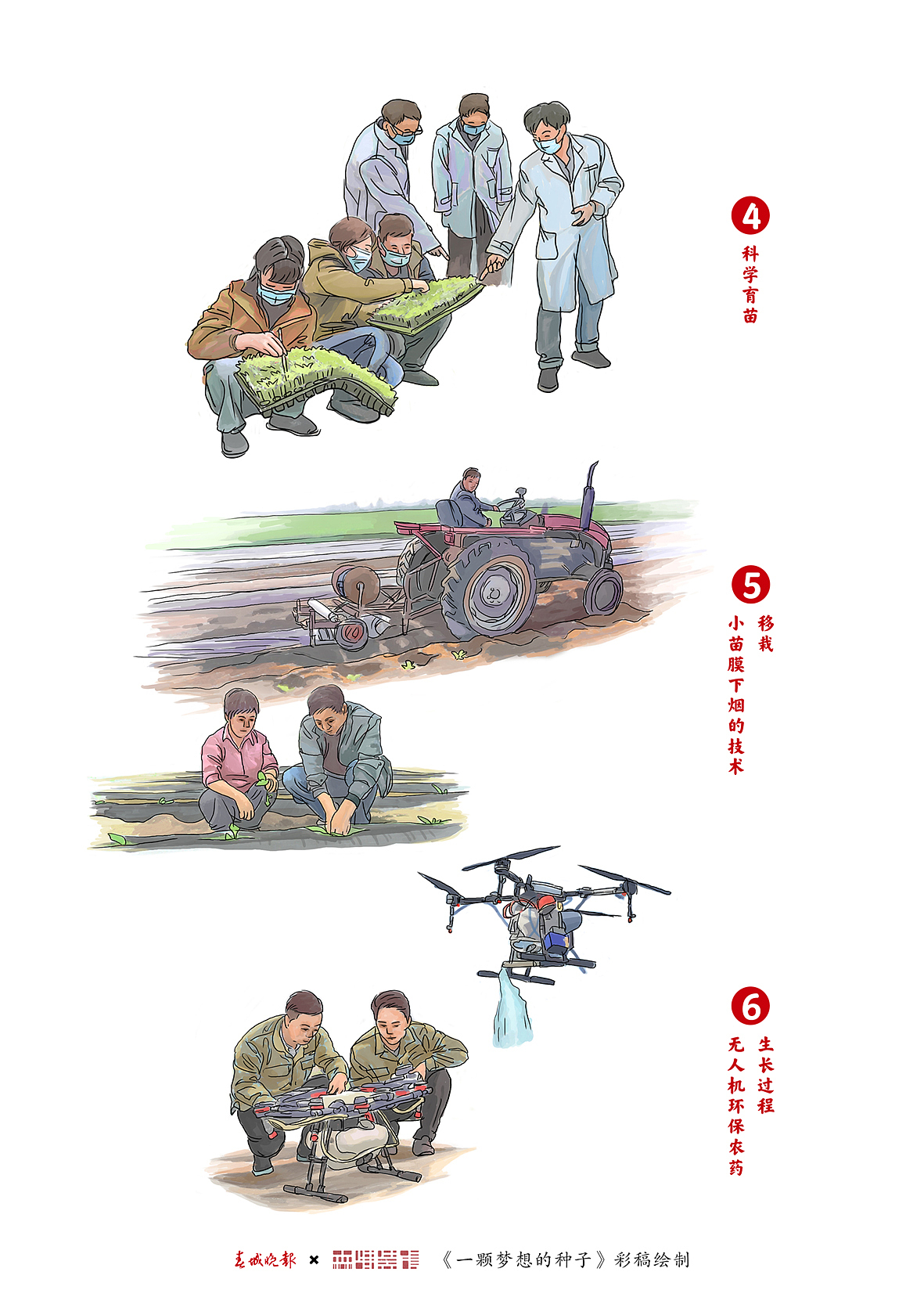 《一颗种子的梦想》登报专刊系列插画绘制（图ZMjg1NzU5ODg4） - 商业插画 - 站酷设计师森特笑虎原创素材 - 站酷ZCOOL
