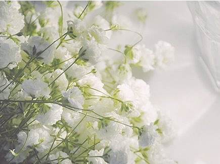 花店app主要界面图