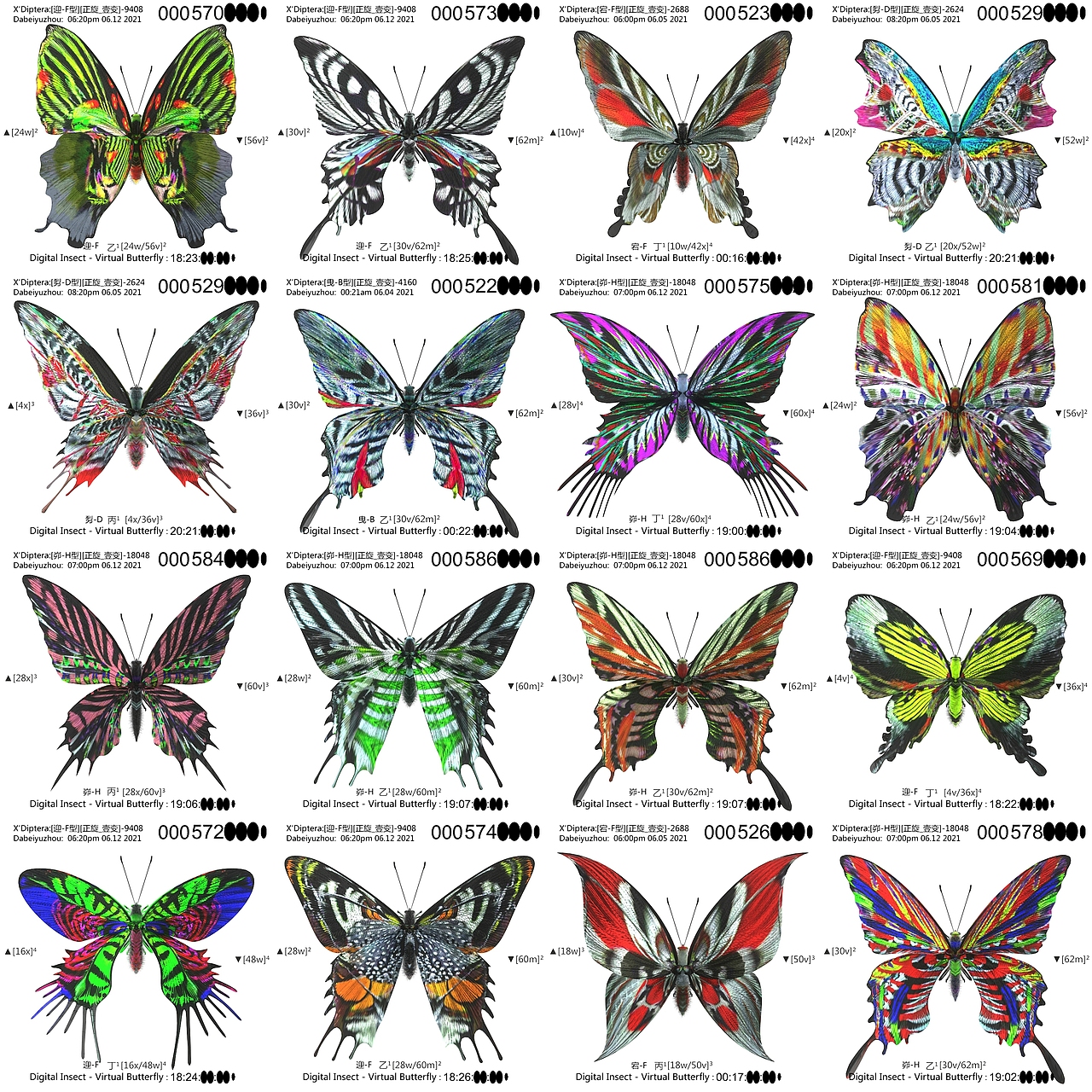 用互联之网捕捉虚拟蝴蝶