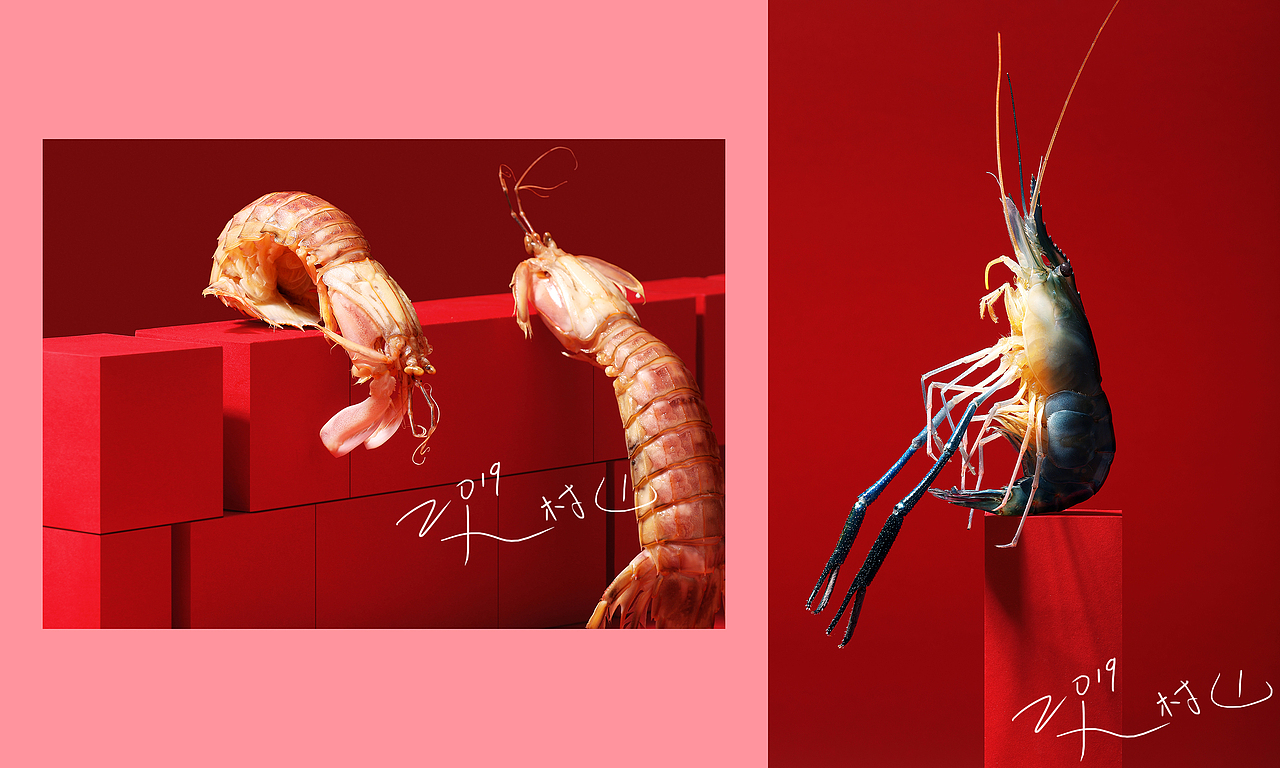 部分美食创意摄影