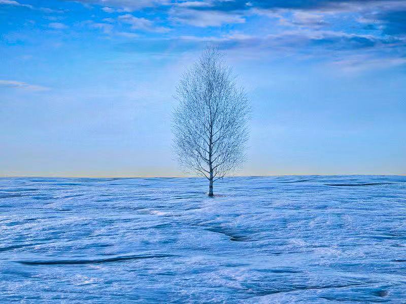 最后一次杂糅作品