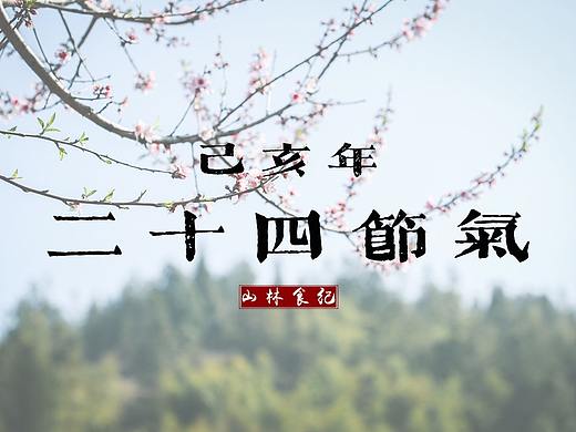 山林己亥 │ 二十四节气