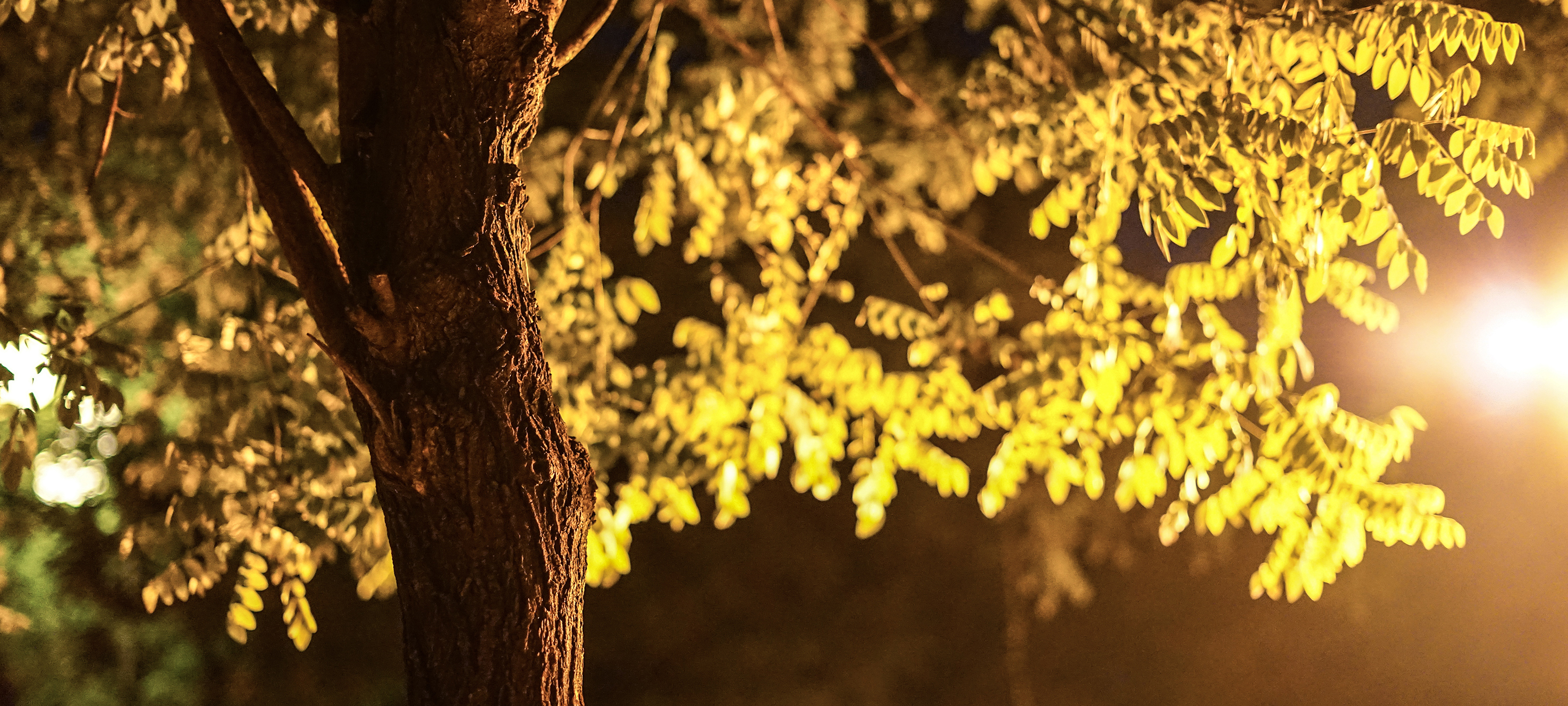 王堯charlotte的個人主頁（封面預(yù)覽） - 主頁封面設(shè)置 - 站酷設(shè)計師王堯charlotte原創(chuàng)素材 - 站酷ZCOOL