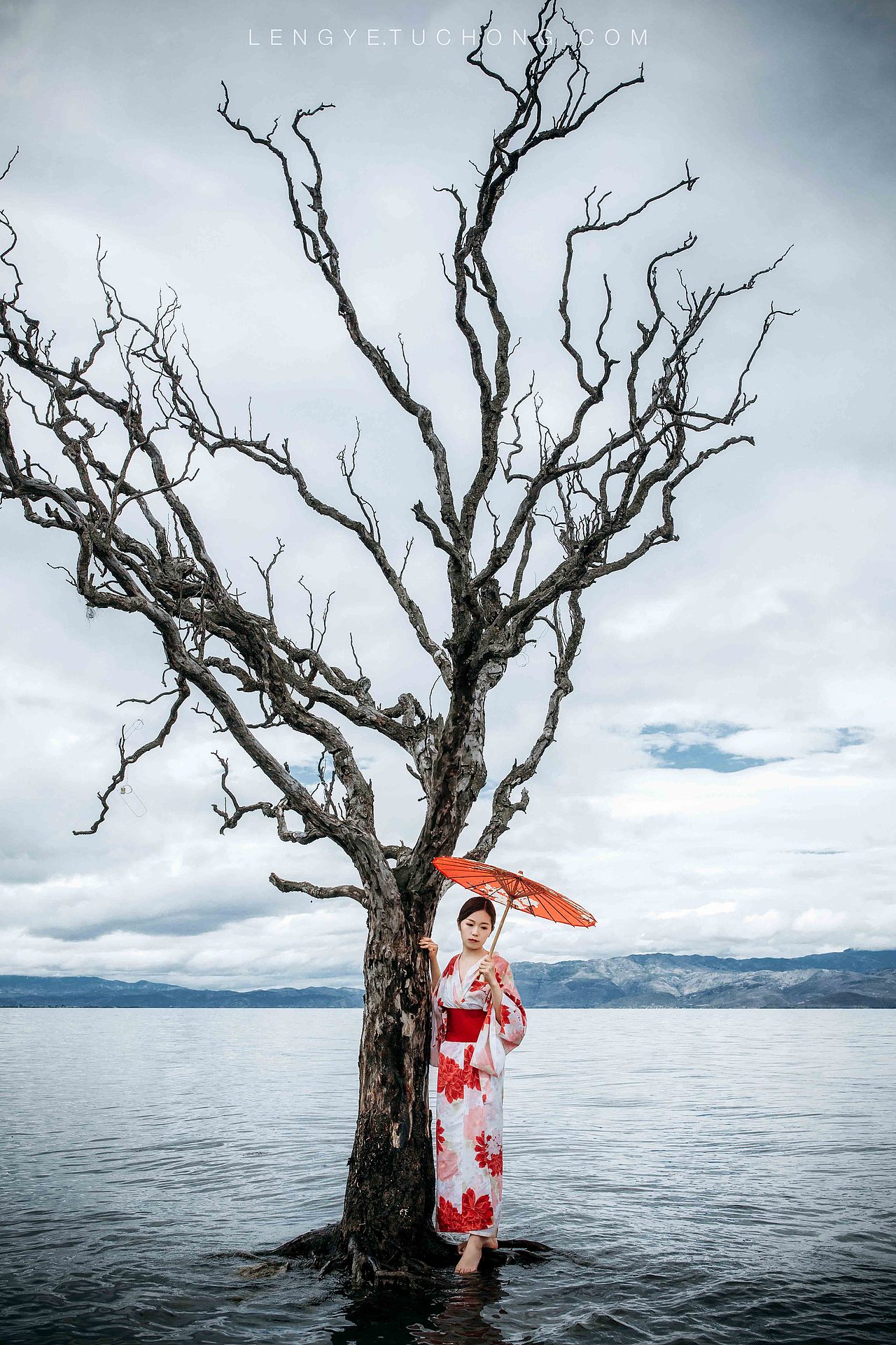 风吹起你的头发 一张棕色的小网 撒满我的面颊