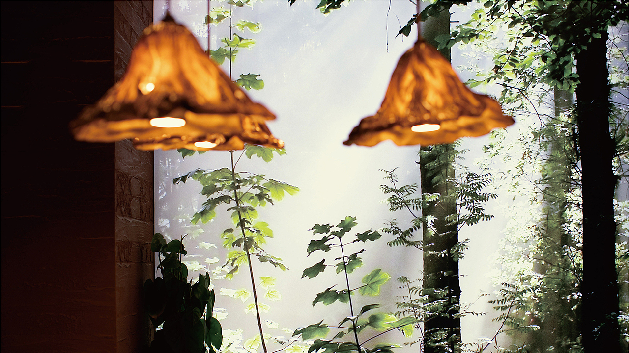 底气策划全案案例——山上的朋友 湖南山野饭店