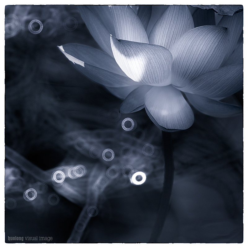 墨色（图ZOTE4MDY3MzY=） - 风光摄影 - 站酷设计师火龙视觉影像原创素材 - 站酷ZCOOL