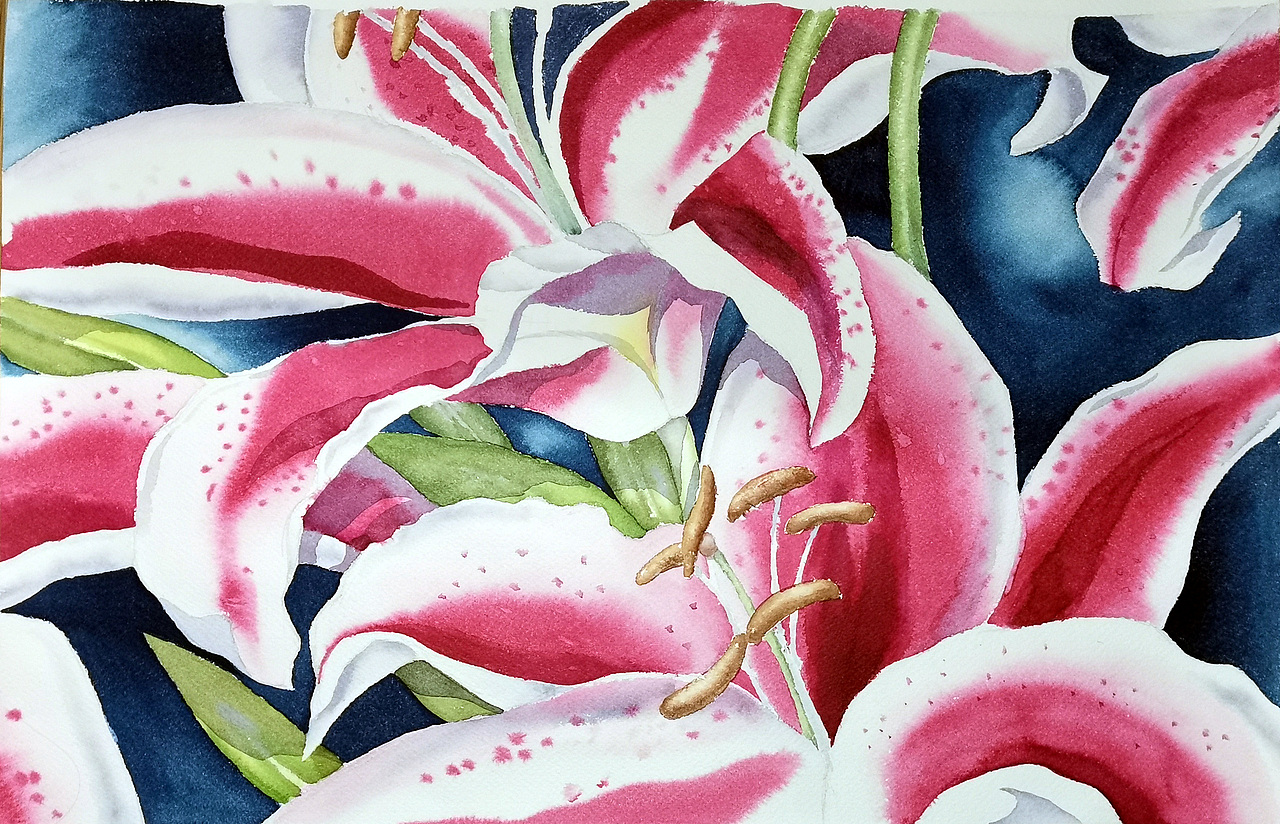 近年的水彩/水粉/国画习作