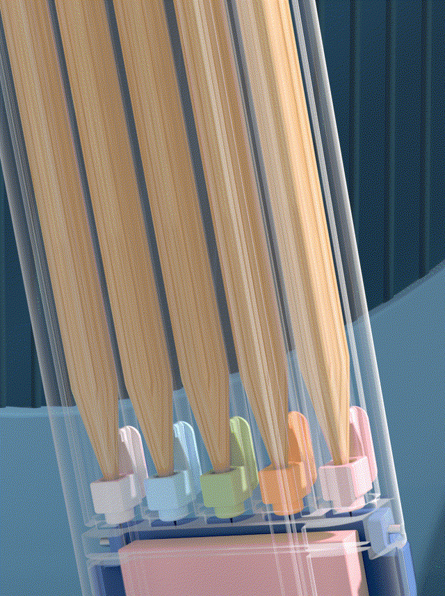 【一日之用 · 铅笔盒】创意产品动画——C4D（图ZMjY4MTk3NTg4） - 动画/影视 - 站酷设计师建恒原创素材 - 站酷ZCOOL