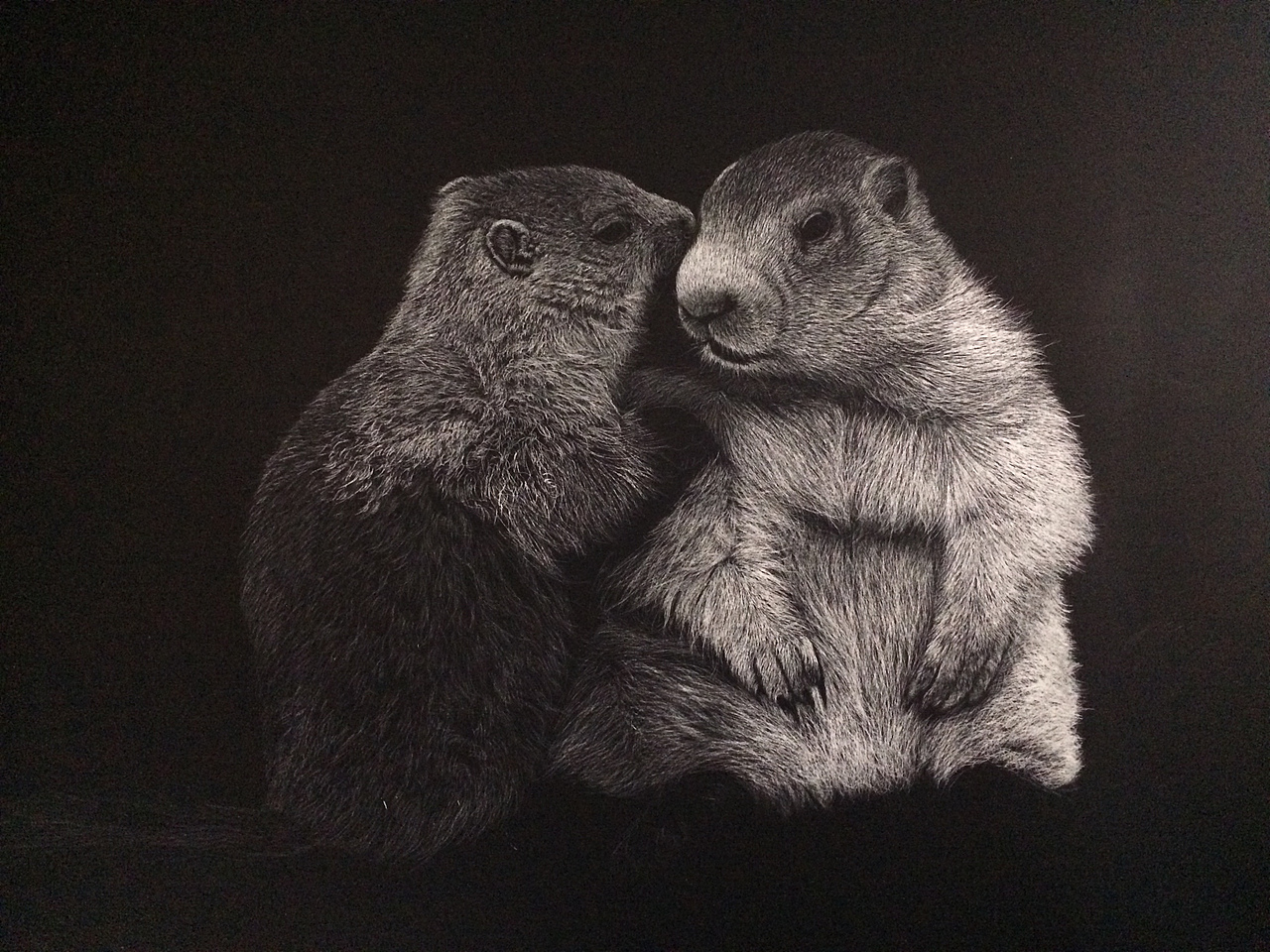 李子哥刮画作品《悄悄话》