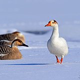 MM阳光的头像