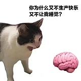 不糟糕的头像