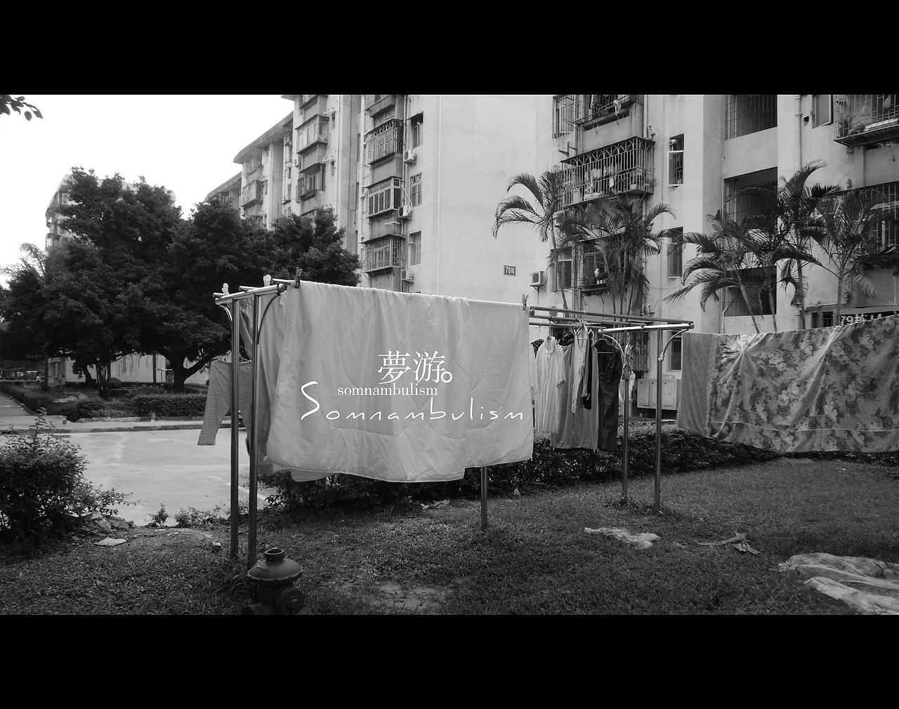 梦里不知身是客。（图ZMjczMTk1NjA=） - 人文/纪实摄影 - 站酷设计师琴酒小筑原创素材 - 站酷ZCOOL