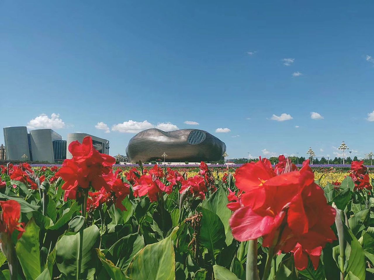 鄂尔多斯康巴什的白加黑2019年8月