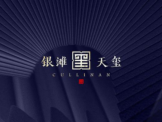 银滩·天玺-提案