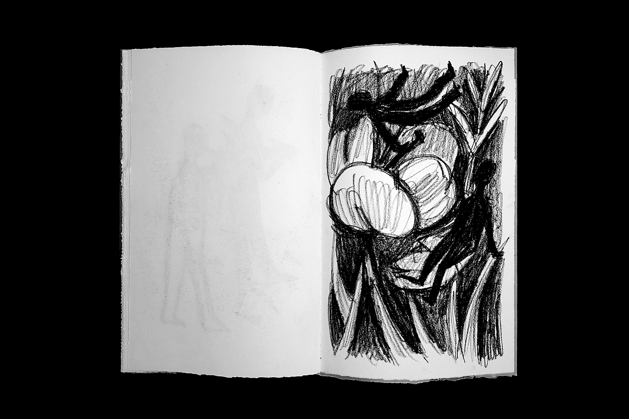 Decent 书籍制作和插画（图ZMjU5MTY5MTMy） - 艺术插画 - 站酷设计师胡冠楠Shannan原创素材 - 站酷ZCOOL