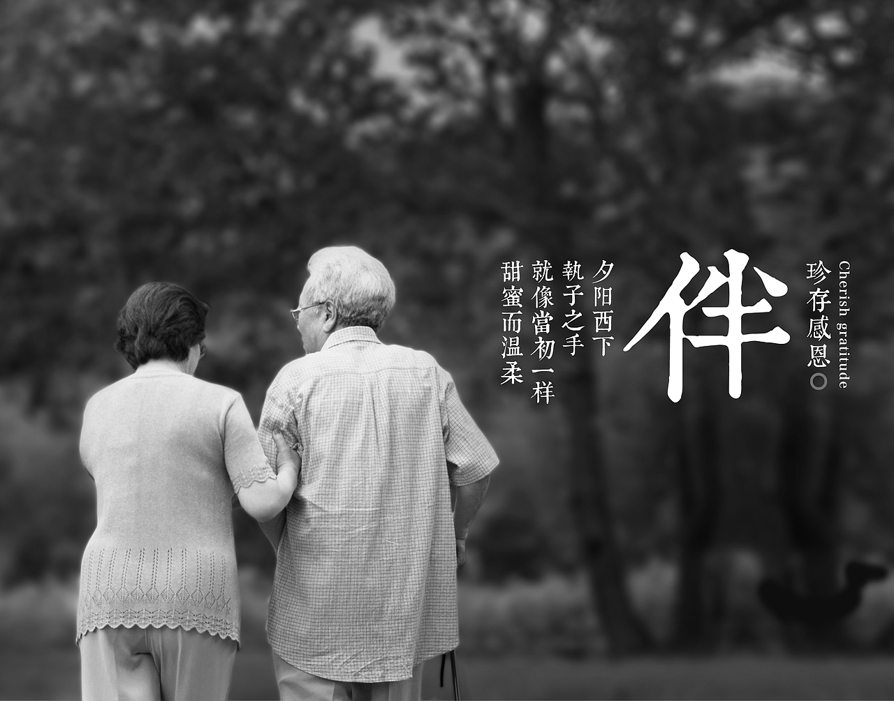 2014年不成熟的设计 （齐鲁晚报连载作品）（图ZMjMwMjIwMDE2） - 海报 - 站酷设计师图钉创意原创素材 - 站酷ZCOOL