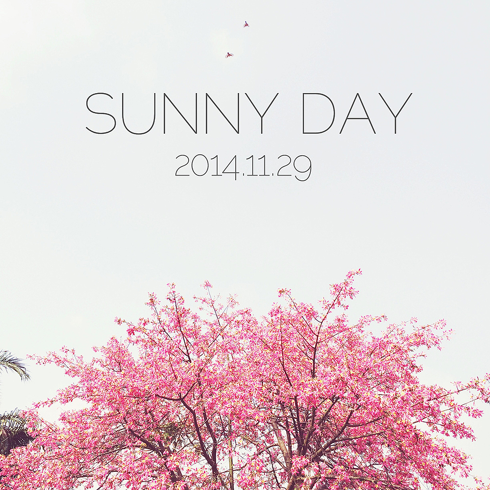 开得好灿烂..（图ZMjU0NzYzNjg=） - 风光摄影 - 站酷设计师KIKI7_原创素材 - 站酷ZCOOL