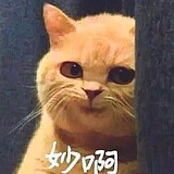 画册大写Z的头像