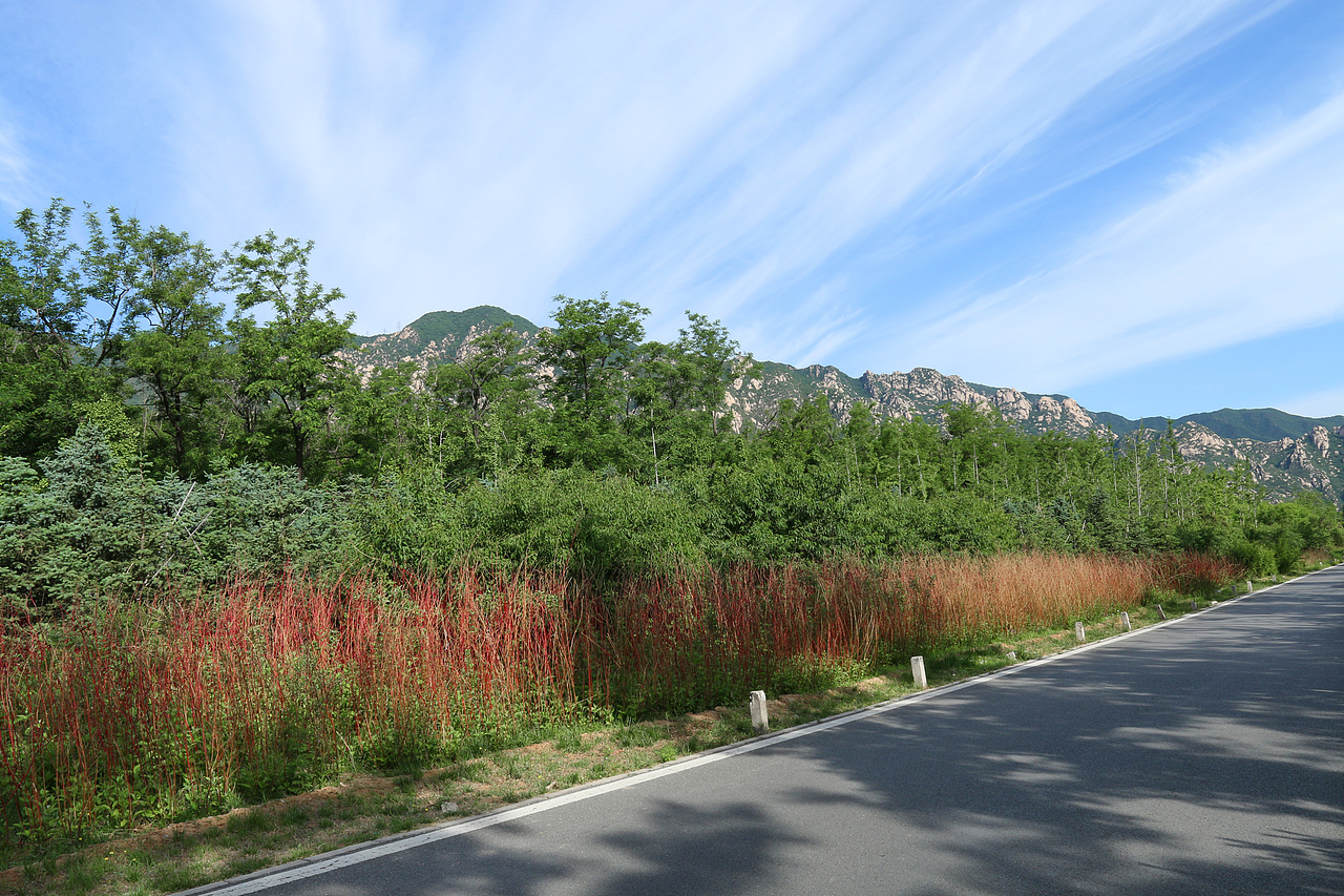 北京凤凰岭自然风景区  杨力 风光摄影作品