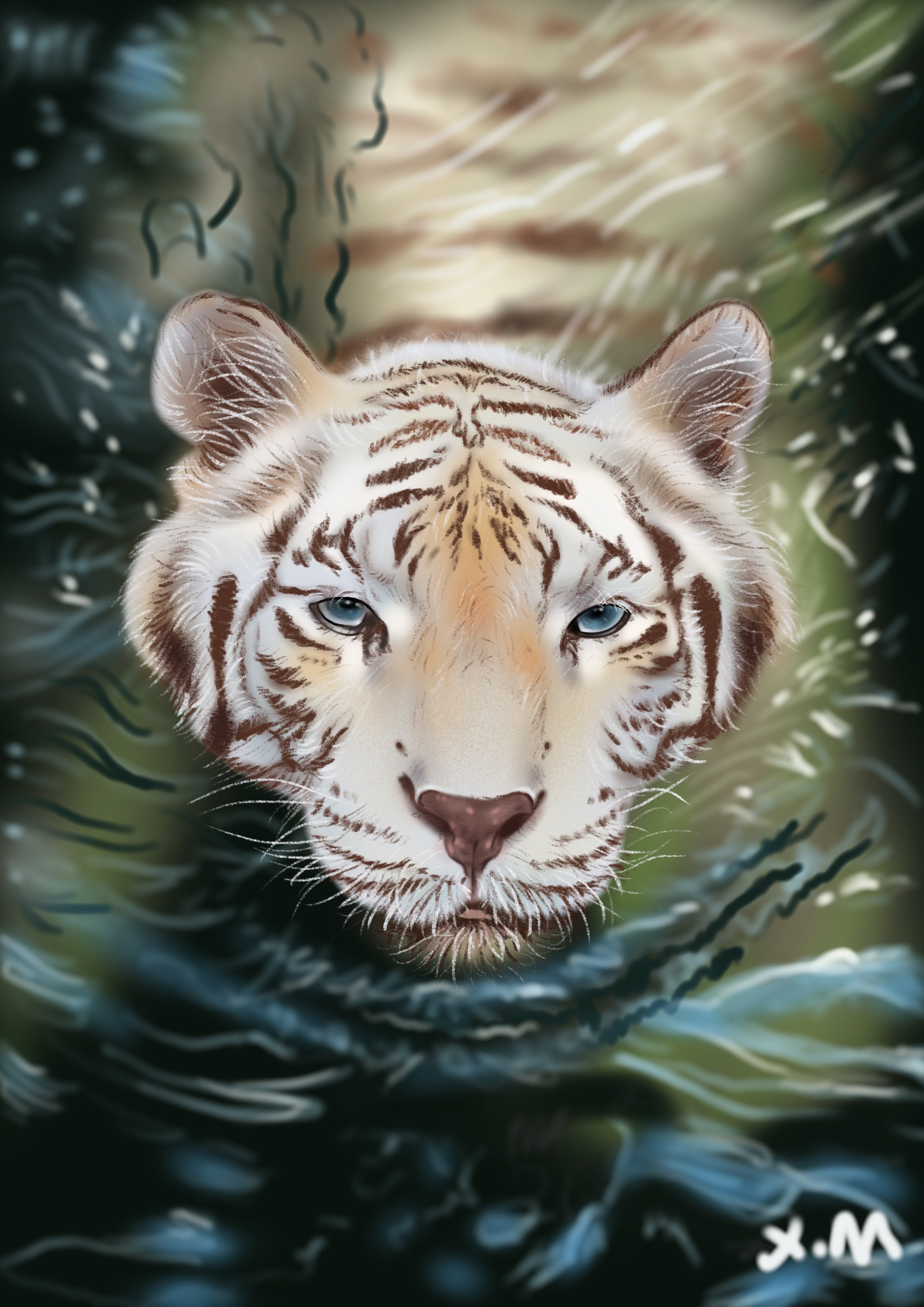 一只白虎|纯艺术|绘画|苗喵8 - 原创作品 - 站酷 (zcool)