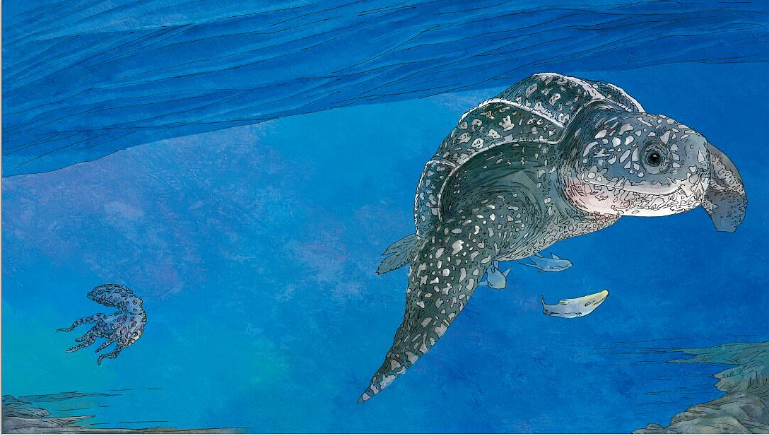 儿童科普类 教育类 上色插图（图ZMTQ0MzcwMjA0） - 儿童插画 - 站酷设计师上超工作室原创素材 - 站酷ZCOOL