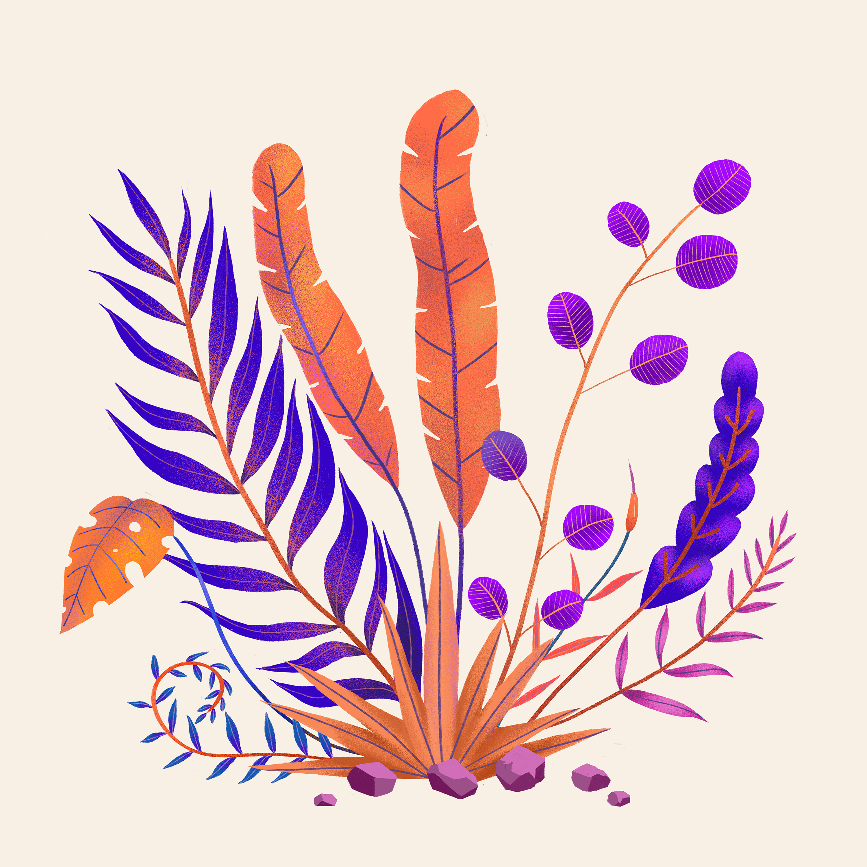 植物颜色也可以很丰富