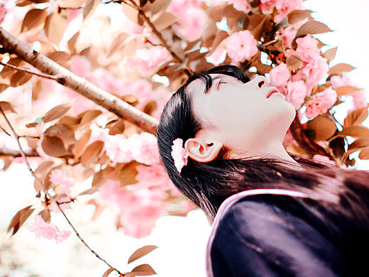 5月末飘得樱花雨