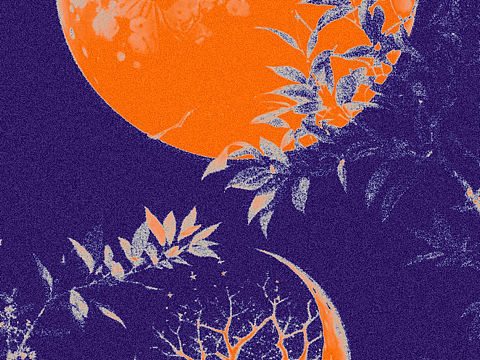 AI绘画档案馆｜贺中秋