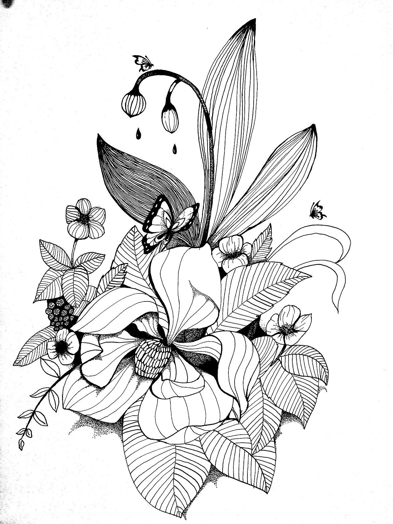 白描|插画|创作习作|插画设计师二哈_原创作品-站酷zcool