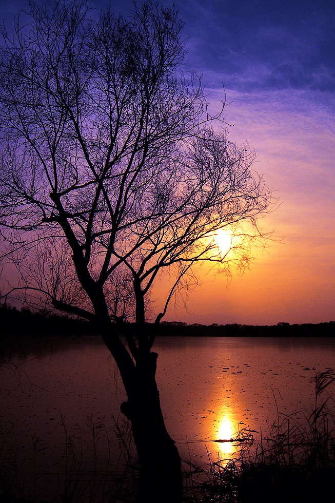 为自己的摄影（六）