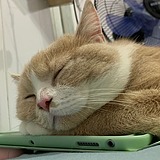 小小央的头像